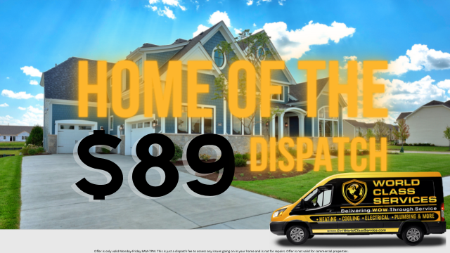 World Class Services